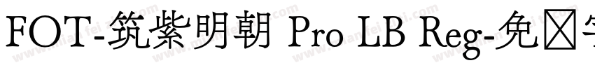 FOT-筑紫明朝 Pro LB Reg字体转换